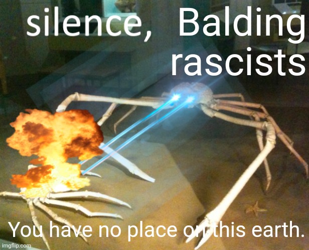 Silence Crab | Balding rascists; You have no place on this earth. | image tagged in silence crab | made w/ Imgflip meme maker
