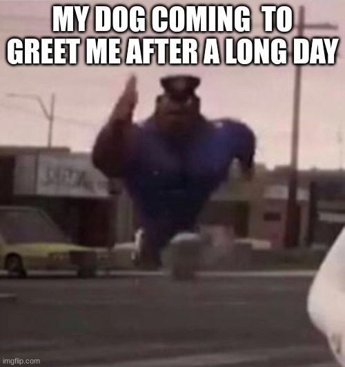 happy doge | MY DOG COMING  TO GREET ME AFTER A LONG DAY | image tagged in everybody gangsta until | made w/ Imgflip meme maker