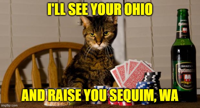 Poker Cat | I'LL SEE YOUR OHIO AND RAISE YOU SEQUIM, WA | image tagged in poker cat | made w/ Imgflip meme maker