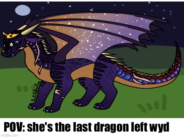 Wyd to Moonlight? | POV: she's the last dragon left wyd | image tagged in moonlight,rp | made w/ Imgflip meme maker