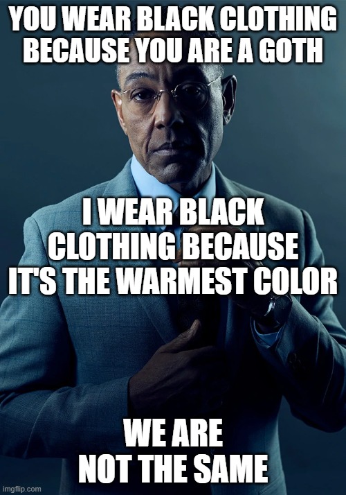 We are not the same |  YOU WEAR BLACK CLOTHING BECAUSE YOU ARE A GOTH; I WEAR BLACK CLOTHING BECAUSE IT'S THE WARMEST COLOR; WE ARE NOT THE SAME | image tagged in we are not the same | made w/ Imgflip meme maker