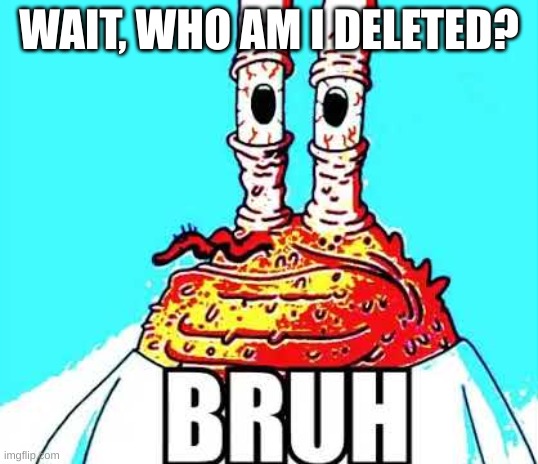mr krabs bruh | WAIT, WHO AM I DELETED? | image tagged in mr krabs bruh | made w/ Imgflip meme maker