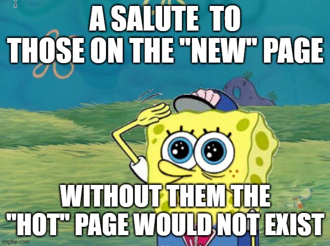 They are cool | A SALUTE  TO THOSE ON THE "NEW" PAGE; WITHOUT THEM THE "HOT" PAGE WOULD NOT EXIST | image tagged in spongebob salute | made w/ Imgflip meme maker