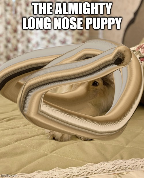 That nose be rendered on a N64 | THE ALMIGHTY LONG NOSE PUPPY | image tagged in dog | made w/ Imgflip meme maker