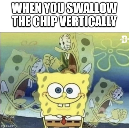 Sponge Bob Scream | WHEN YOU SWALLOW THE CHIP VERTICALLY | image tagged in sponge bob scream,what can i say except aaaaaaaaaaa | made w/ Imgflip meme maker