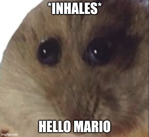 Hampter | *INHALES*; HELLO MARIO | image tagged in hampter | made w/ Imgflip meme maker