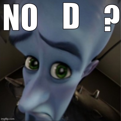 D | image tagged in no bitches blank | made w/ Imgflip meme maker