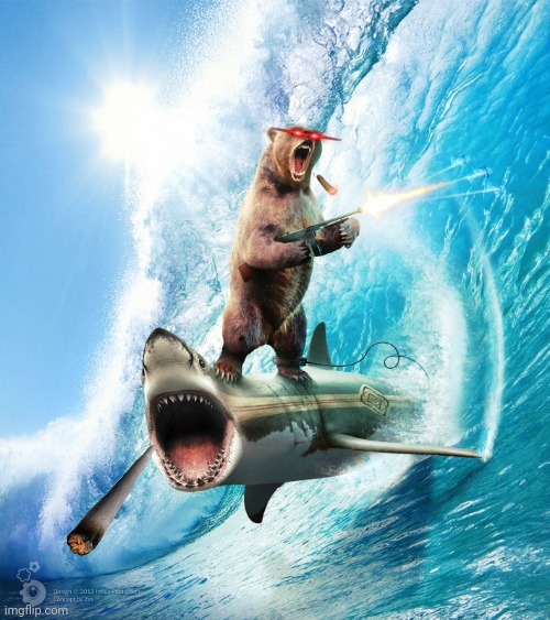 Bear Gone Wild | image tagged in bear gone wild | made w/ Imgflip meme maker