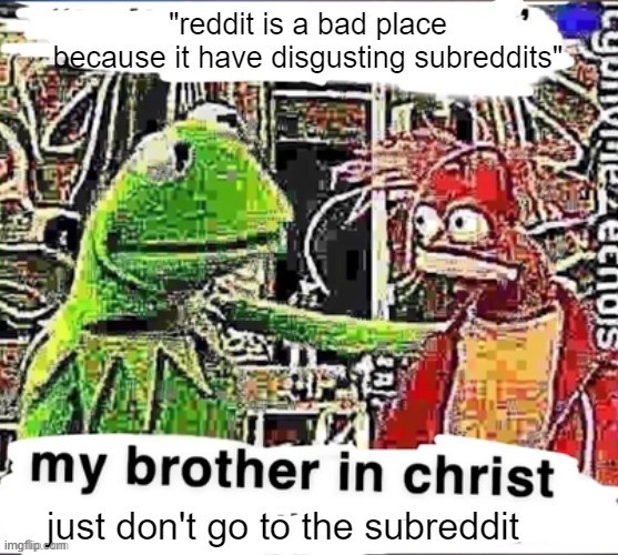 My brother in Christ | "reddit is a bad place because it have disgusting subreddits"; just don't go to the subreddit | image tagged in my brother in christ | made w/ Imgflip meme maker