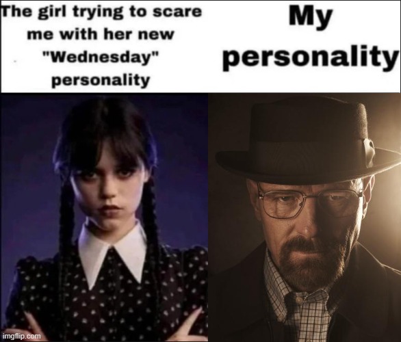 The girl trying to scare me with her new Wednesday personality | image tagged in the girl trying to scare me with her new wednesday personality | made w/ Imgflip meme maker