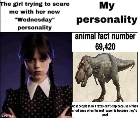 The girl trying to scare me with her new Wednesday personality | image tagged in the girl trying to scare me with her new wednesday personality | made w/ Imgflip meme maker