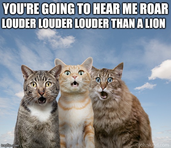 amazed cats | YOU'RE GOING TO HEAR ME ROAR; LOUDER LOUDER LOUDER THAN A LION | image tagged in amazed cats | made w/ Imgflip meme maker