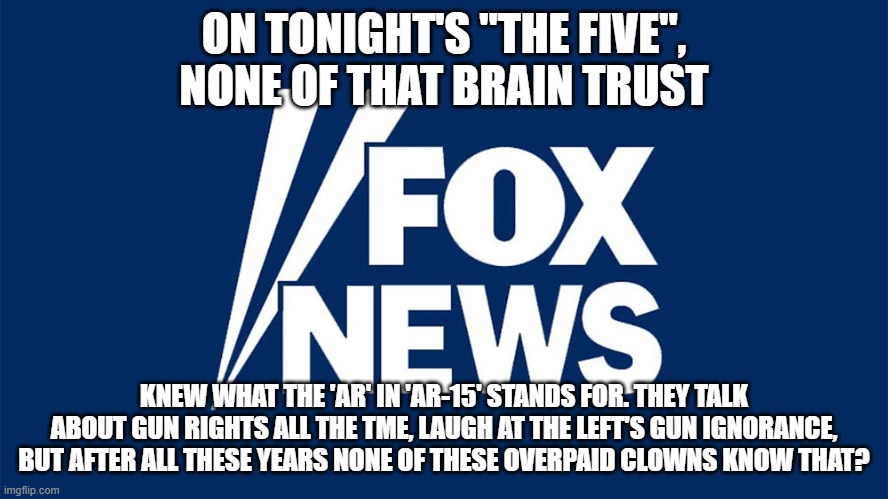 GOOGLE IT | ON TONIGHT'S "THE FIVE", NONE OF THAT BRAIN TRUST; KNEW WHAT THE 'AR' IN 'AR-15' STANDS FOR. THEY TALK ABOUT GUN RIGHTS ALL THE TME, LAUGH AT THE LEFT'S GUN IGNORANCE, BUT AFTER ALL THESE YEARS NONE OF THESE OVERPAID CLOWNS KNOW THAT? | image tagged in criminal fox news | made w/ Imgflip meme maker