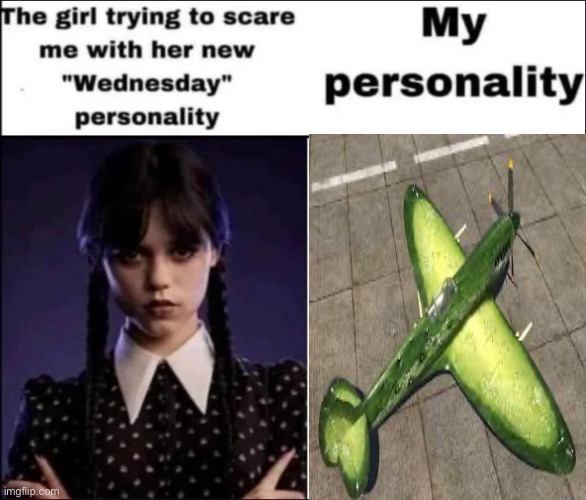 ㅤ | image tagged in the girl trying to scare me with her new wednesday personality | made w/ Imgflip meme maker