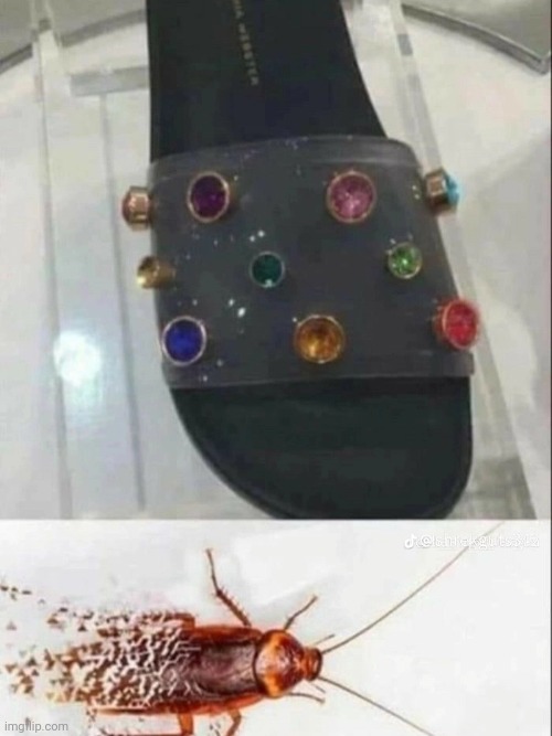 The infinity slipper | image tagged in meme,cockroach | made w/ Imgflip meme maker