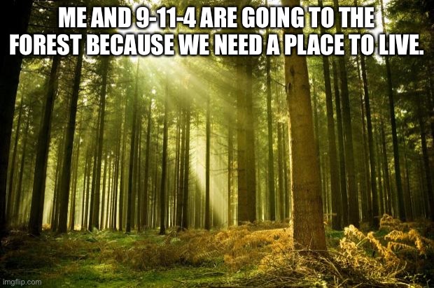 No worries. | ME AND 9-11-4 ARE GOING TO THE FOREST BECAUSE WE NEED A PLACE TO LIVE. | image tagged in sunlit forest | made w/ Imgflip meme maker