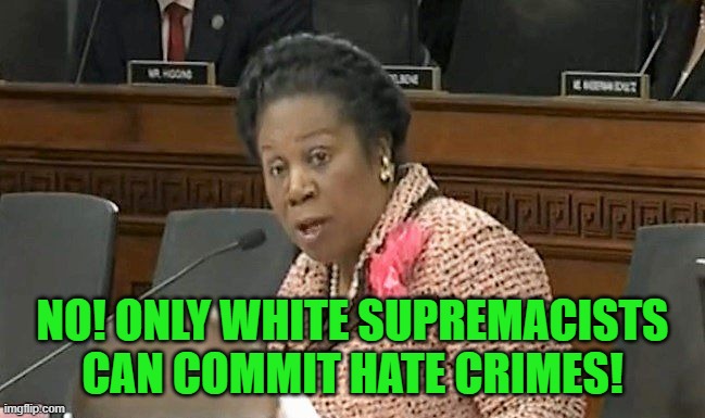 Sheila Jackson Lee  | NO! ONLY WHITE SUPREMACISTS CAN COMMIT HATE CRIMES! | image tagged in sheila jackson lee | made w/ Imgflip meme maker