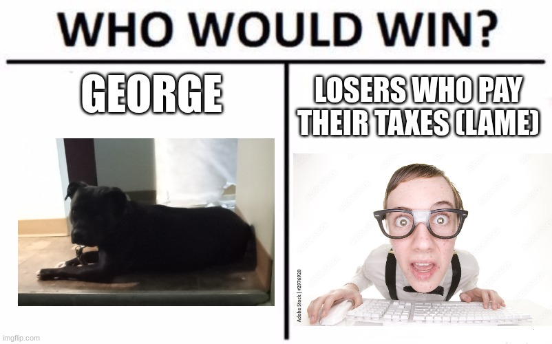 gorg | LOSERS WHO PAY THEIR TAXES (LAME); GEORGE | image tagged in memes,who would win | made w/ Imgflip meme maker