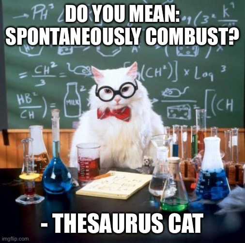 Chemistry Cat Meme | DO YOU MEAN: SPONTANEOUSLY COMBUST? - THESAURUS CAT | image tagged in memes,chemistry cat | made w/ Imgflip meme maker