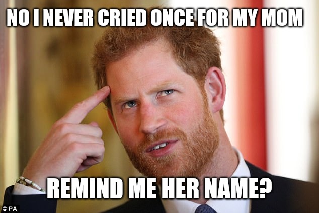 Harry forgot his mom | NO I NEVER CRIED ONCE FOR MY MOM; REMIND ME HER NAME? | image tagged in prince harry,meghan markle,funny memes | made w/ Imgflip meme maker