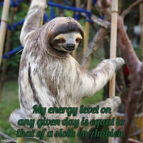 Just Tired | My energy level on any given day is equal to that of a sloth on Ambien. | image tagged in funny meme,tired,sloth | made w/ Imgflip meme maker