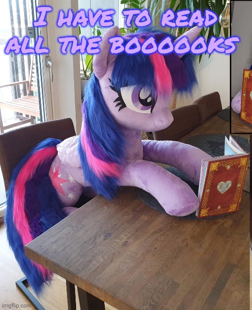 Booooooooooooooooooooks | I have to read all the boooooks | image tagged in twilight sparkle,loves,books | made w/ Imgflip meme maker