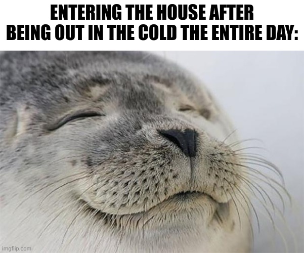 Satisfied Seal Meme | ENTERING THE HOUSE AFTER BEING OUT IN THE COLD THE ENTIRE DAY: | image tagged in memes,satisfied seal,funny,funny memes,relatable | made w/ Imgflip meme maker