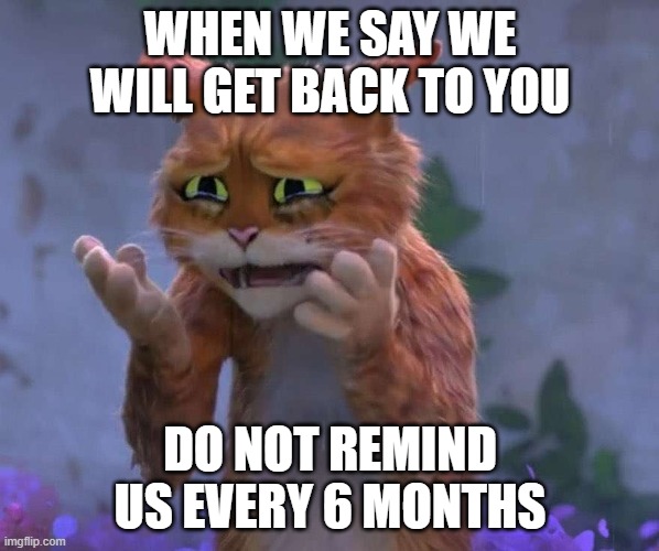 Puss in Boots cry | WHEN WE SAY WE WILL GET BACK TO YOU; DO NOT REMIND US EVERY 6 MONTHS | image tagged in puss in boots cry | made w/ Imgflip meme maker