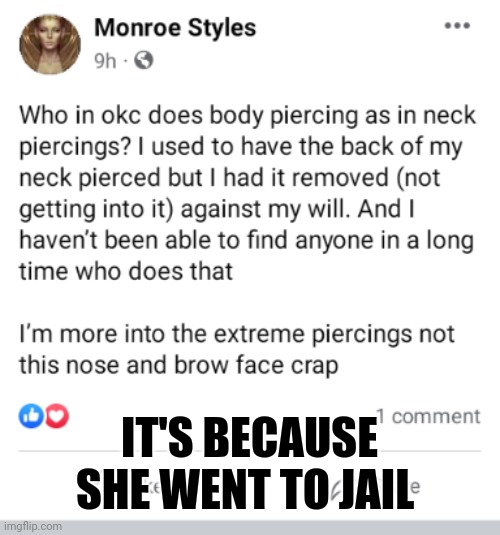 Twit | IT'S BECAUSE SHE WENT TO JAIL | image tagged in funny memes | made w/ Imgflip meme maker