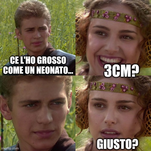 Prospettive | CE L'HO GROSSO COME UN NEONATO... 3CM? GIUSTO? | image tagged in anakin padme 4 panel | made w/ Imgflip meme maker