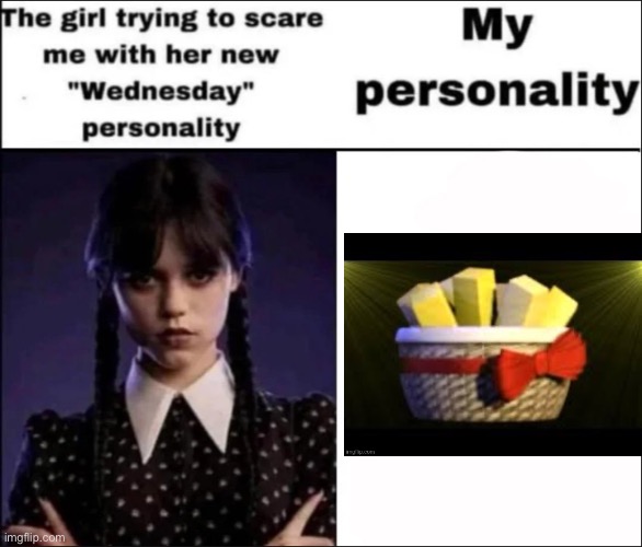 The girl trying to scare me with her new Wednesday personality | image tagged in the girl trying to scare me with her new wednesday personality | made w/ Imgflip meme maker
