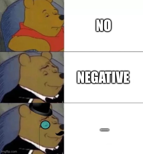 Fancy pooh | NO; NEGATIVE; _ | image tagged in fancy pooh | made w/ Imgflip meme maker