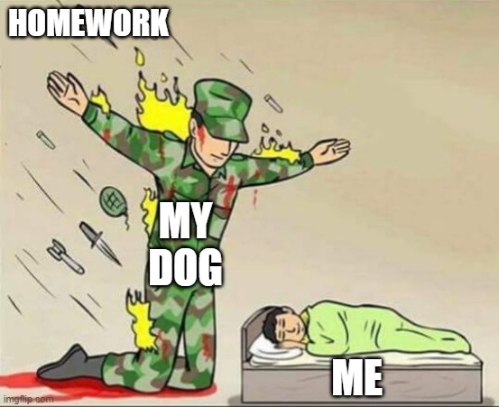 can fish eat your homework? | HOMEWORK; MY DOG; ME | image tagged in soldier protecting sleeping child,homework | made w/ Imgflip meme maker