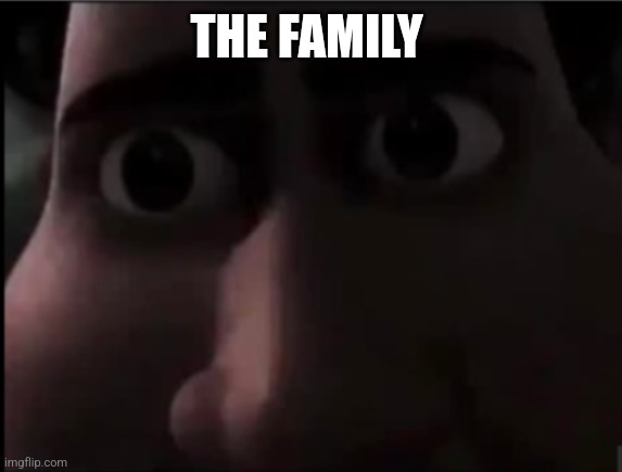 tighten stare | THE FAMILY | image tagged in tighten stare | made w/ Imgflip meme maker