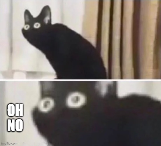 Oh no black cat | OH NO | image tagged in oh no black cat | made w/ Imgflip meme maker