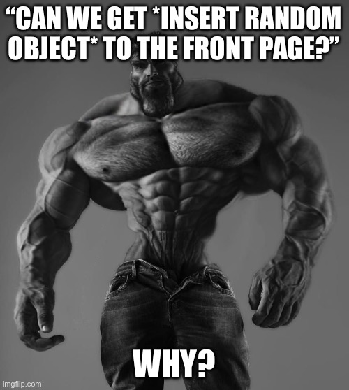 Seriously, why. Looking at you, fun stream. | “CAN WE GET *INSERT RANDOM OBJECT* TO THE FRONT PAGE?”; WHY? | image tagged in gigachad | made w/ Imgflip meme maker