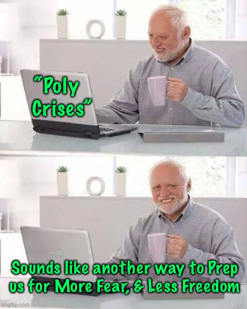 Hide the Pain Harold Meme | “Poly  
Crises”; Sounds like another way to Prep
us for More Fear, & Less Freedom | image tagged in memes,hide the pain harold | made w/ Imgflip meme maker