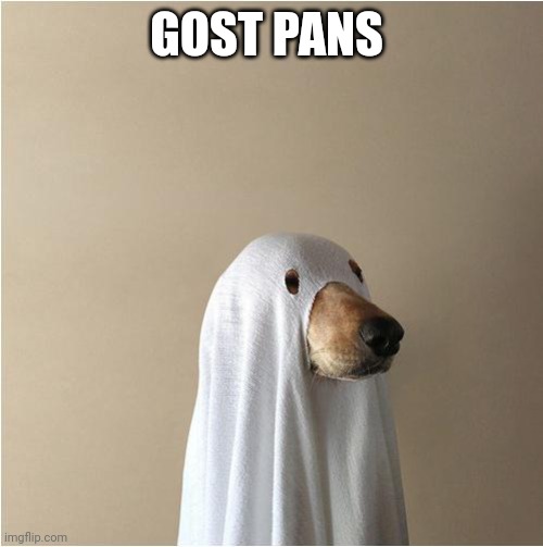 GOST PANS | image tagged in ghost doge | made w/ Imgflip meme maker