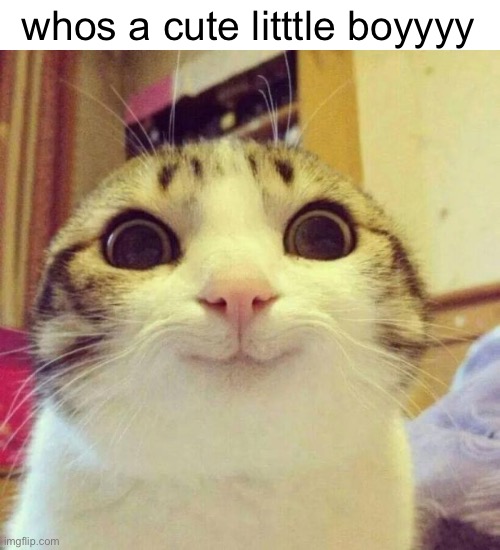 Smiling Cat Meme | whos a cute litttle boyyyy | image tagged in memes,smiling cat | made w/ Imgflip meme maker