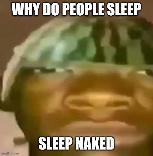 Srsly though, why is it necessary? | WHY DO PEOPLE SLEEP; SLEEP NAKED | image tagged in shitpost | made w/ Imgflip meme maker