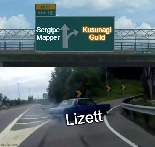 AHA! I Choose One! | Sergipe Mapper; Kusunagi Guild; Lizett | image tagged in memes,left exit 12 off ramp | made w/ Imgflip meme maker