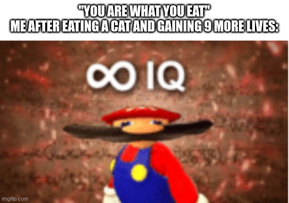 Respawns* | "YOU ARE WHAT YOU EAT"
ME AFTER EATING A CAT AND GAINING 9 MORE LIVES: | image tagged in infinite iq | made w/ Imgflip meme maker