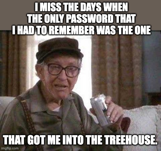 Password | I MISS THE DAYS WHEN THE ONLY PASSWORD THAT I HAD TO REMEMBER WAS THE ONE; THAT GOT ME INTO THE TREEHOUSE. | image tagged in grumpy old man | made w/ Imgflip meme maker