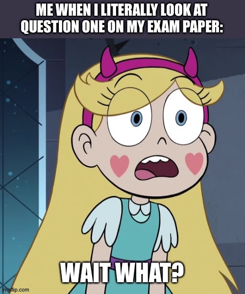 Star Butterfly Wait What? | ME WHEN I LITERALLY LOOK AT QUESTION ONE ON MY EXAM PAPER: | image tagged in star butterfly wait what,svtfoe,star vs the forces of evil,exams,school,memes | made w/ Imgflip meme maker