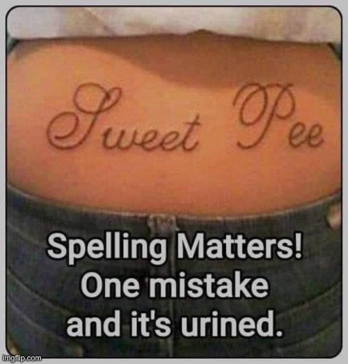 Spelling | image tagged in spelling error,bad pun | made w/ Imgflip meme maker