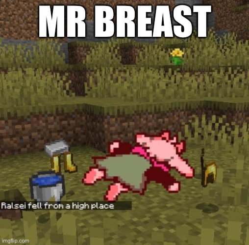 MR BREAST | made w/ Imgflip meme maker