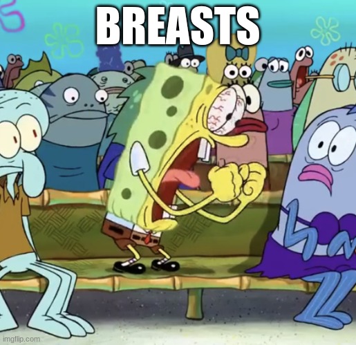 Spongebob Yelling | BREASTS | image tagged in spongebob yelling | made w/ Imgflip meme maker