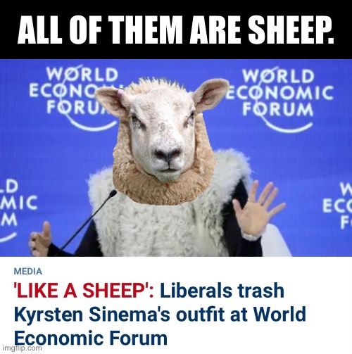 The Davos 2023 sheep. | ALL OF THEM ARE SHEEP. | image tagged in communists,globalism,democrat party,enemies,sheep,traitors | made w/ Imgflip meme maker