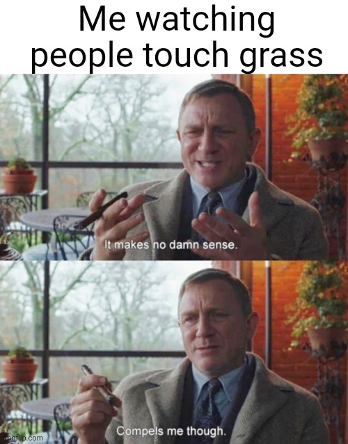 Wtf is grass again? | Me watching people touch grass | image tagged in it makes no damn sense compels me though | made w/ Imgflip meme maker