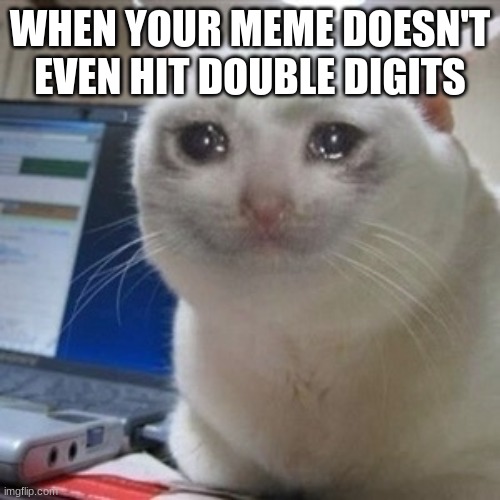 why are my memes dying | WHEN YOUR MEME DOESN'T EVEN HIT DOUBLE DIGITS | image tagged in crying cat | made w/ Imgflip meme maker